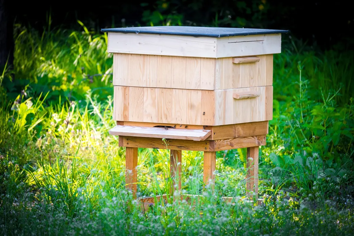 Building vs Buying a Beehive: Cost, Time and Convenience Compared