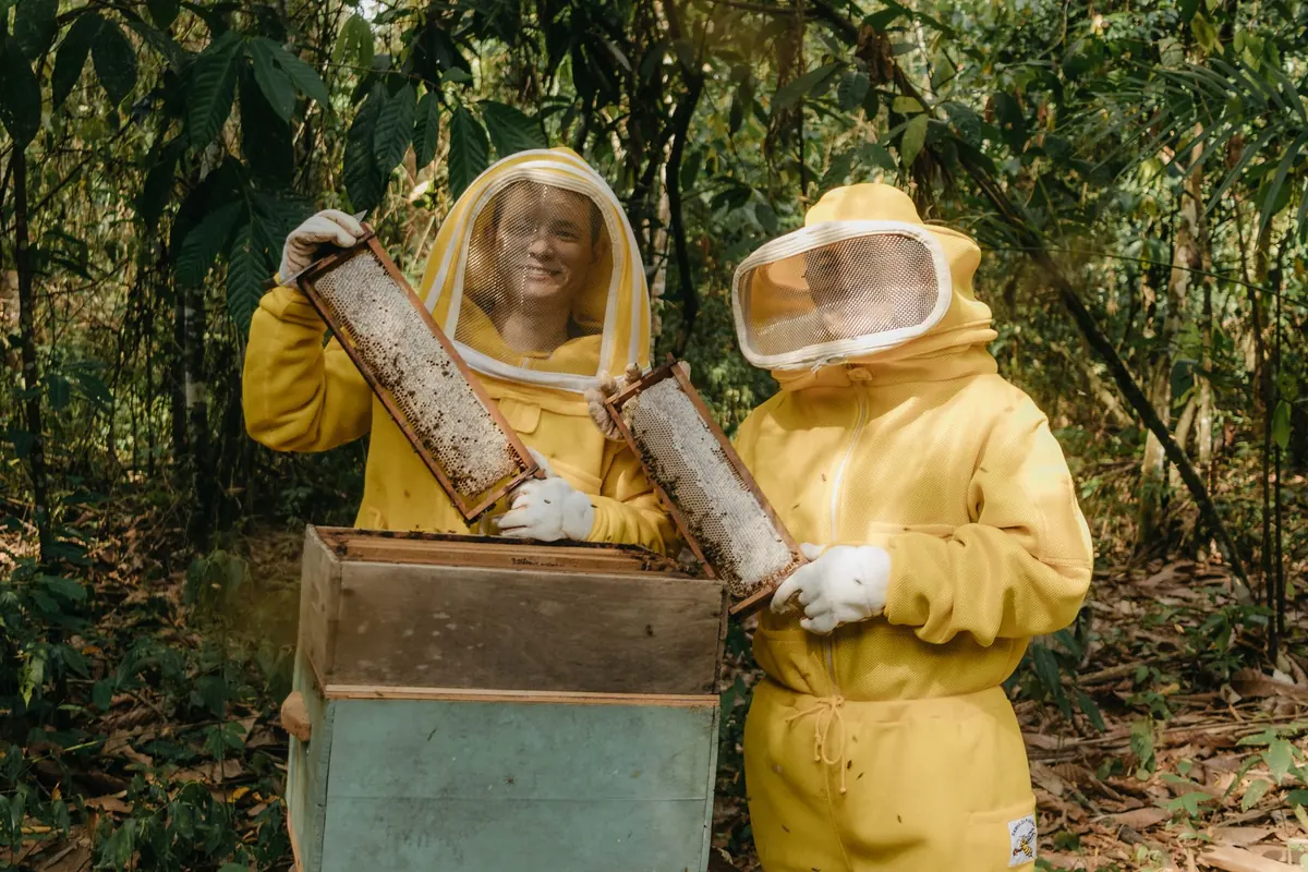 Choosing Your First Bee Suit: Ventilated vs Traditional vs Jacket